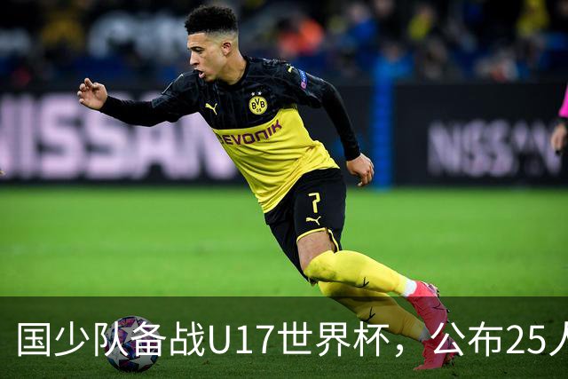 国少队备战U17世界杯，公布25人集训名单挑战严峻