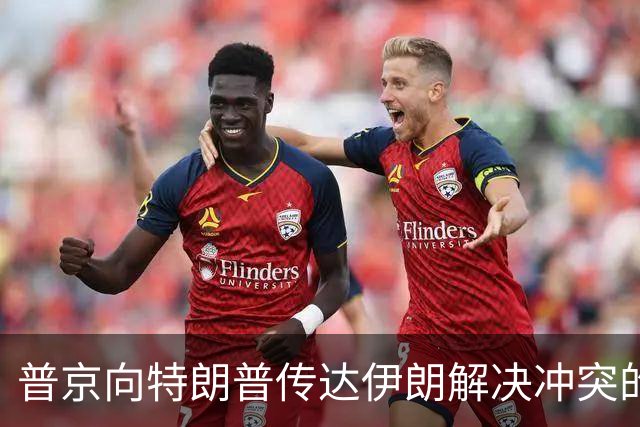 普京向特朗普传达伊朗解决冲突的建议